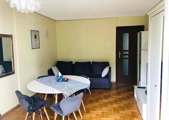 Apartament W Srodmiesciu